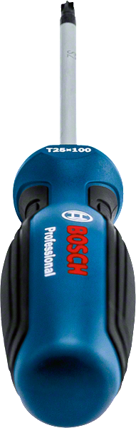 Bosch Profesyonel Torx Tornavida TX25x100 - Resim 2